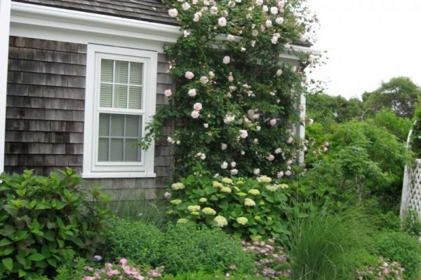 Earthworks-Nantucket-landscaping-our-work-portfolio-window-boxes-container-garden-14