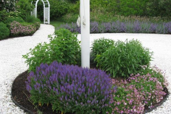 Earthworks-Nantucket-landscaping-our-work-portfolio-window-boxes-container-gardens-4